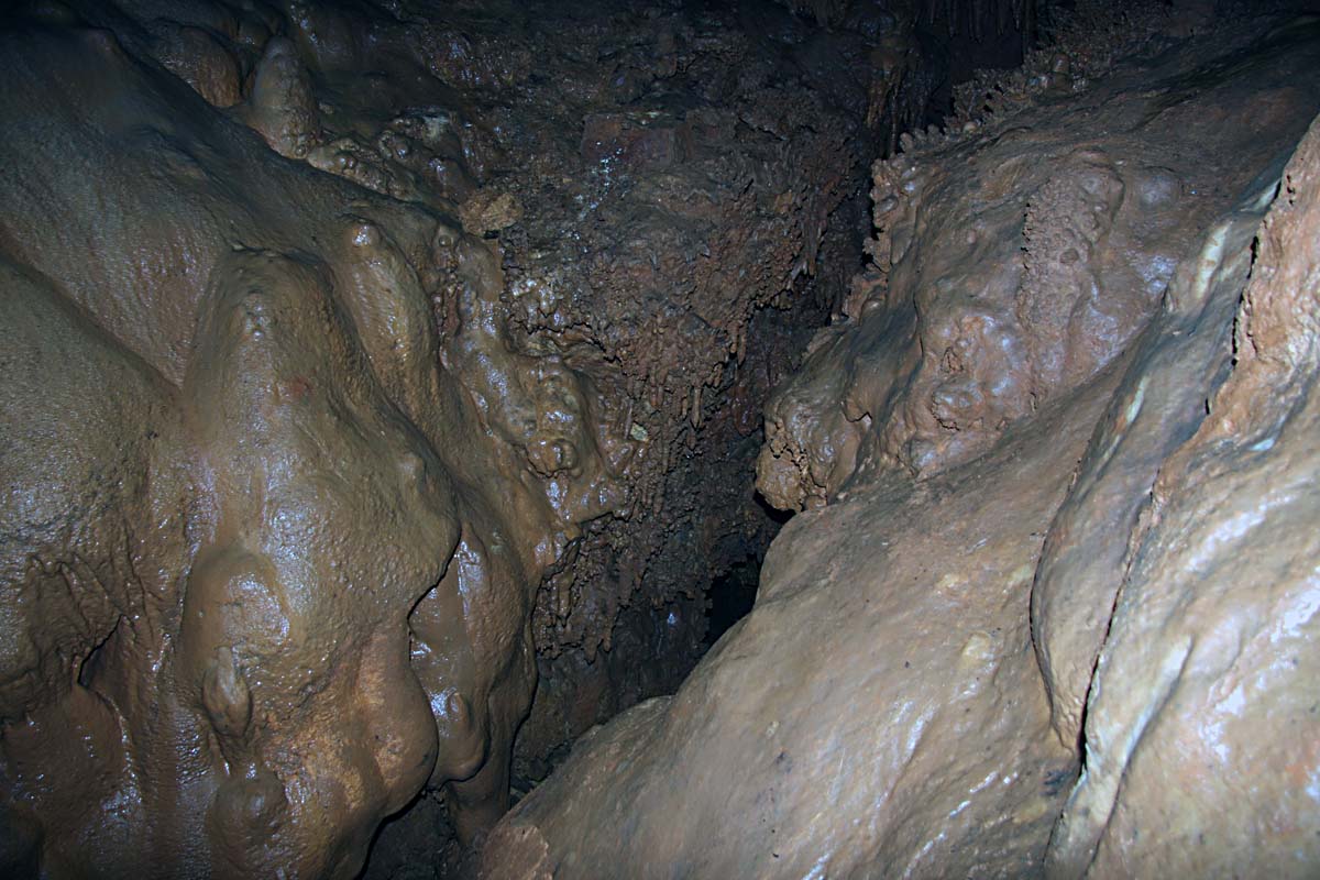 M 03.JPG